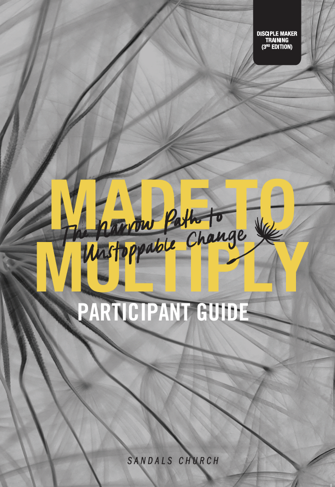 Curriculum for Catalyst Group participants 2025